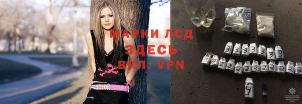 стаф Беломорск