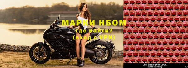 экстази Белокуриха