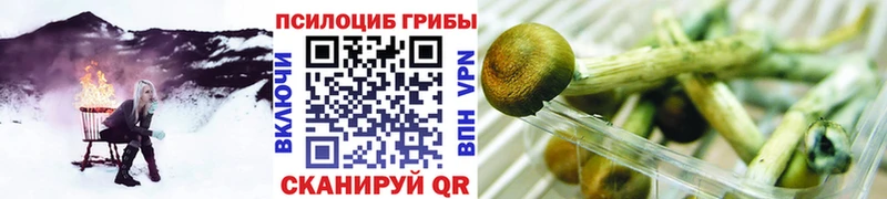 Галлюциногенные грибы мицелий  Верхотурье 