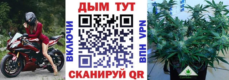 Бошки Шишки THC 21%  Верхотурье 